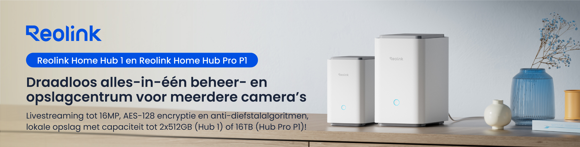 Hub1, Hub Pro P1